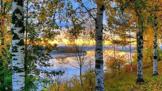 И СНОВА ОСЕНЬ....